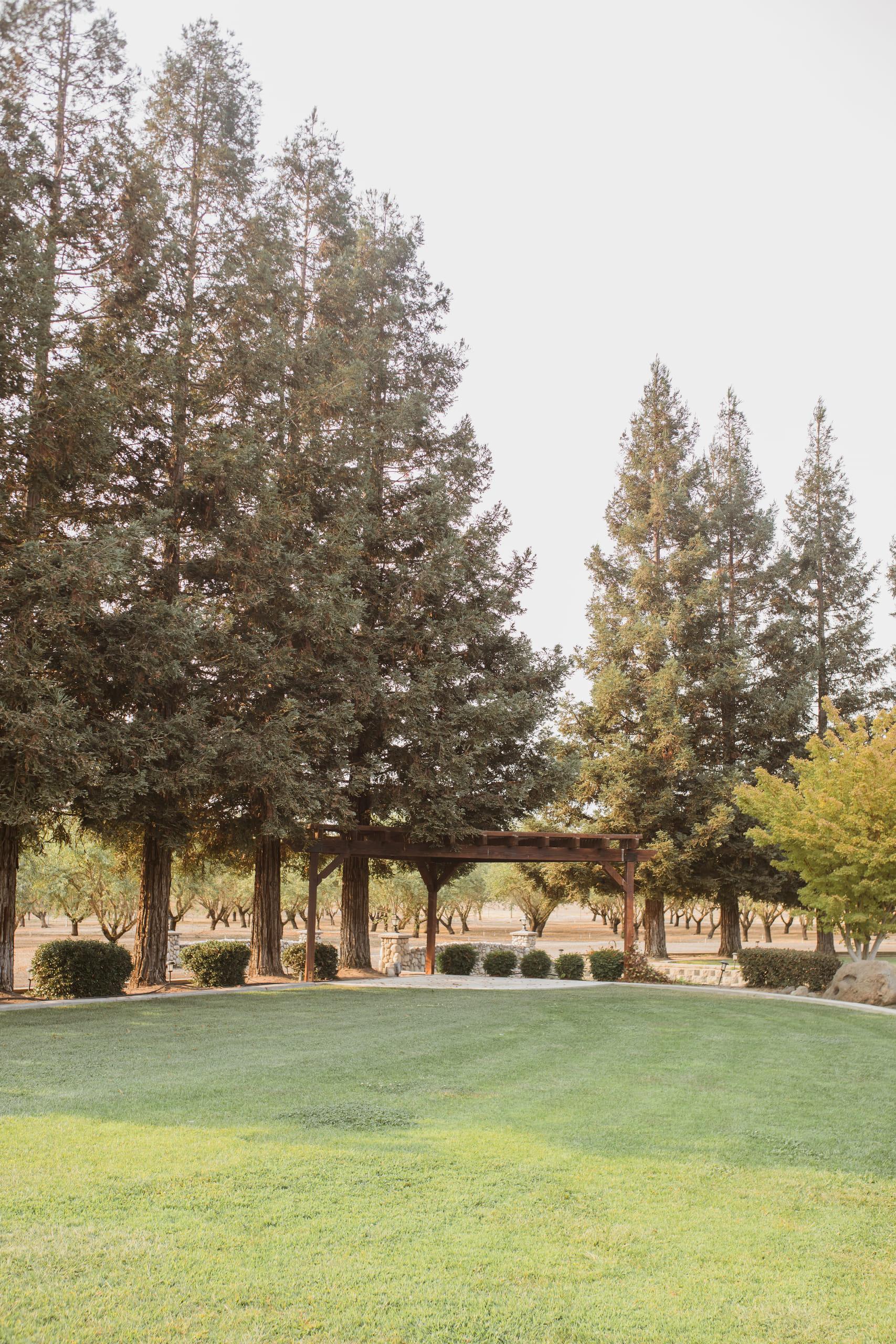 The timber pergola at the end of the ceremony lawn, under tall redwoods