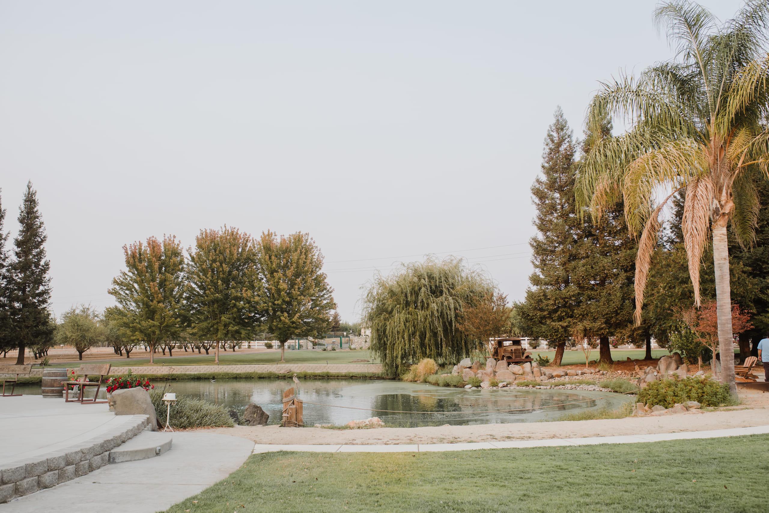 The pond, willows, and lawn seen from the patio