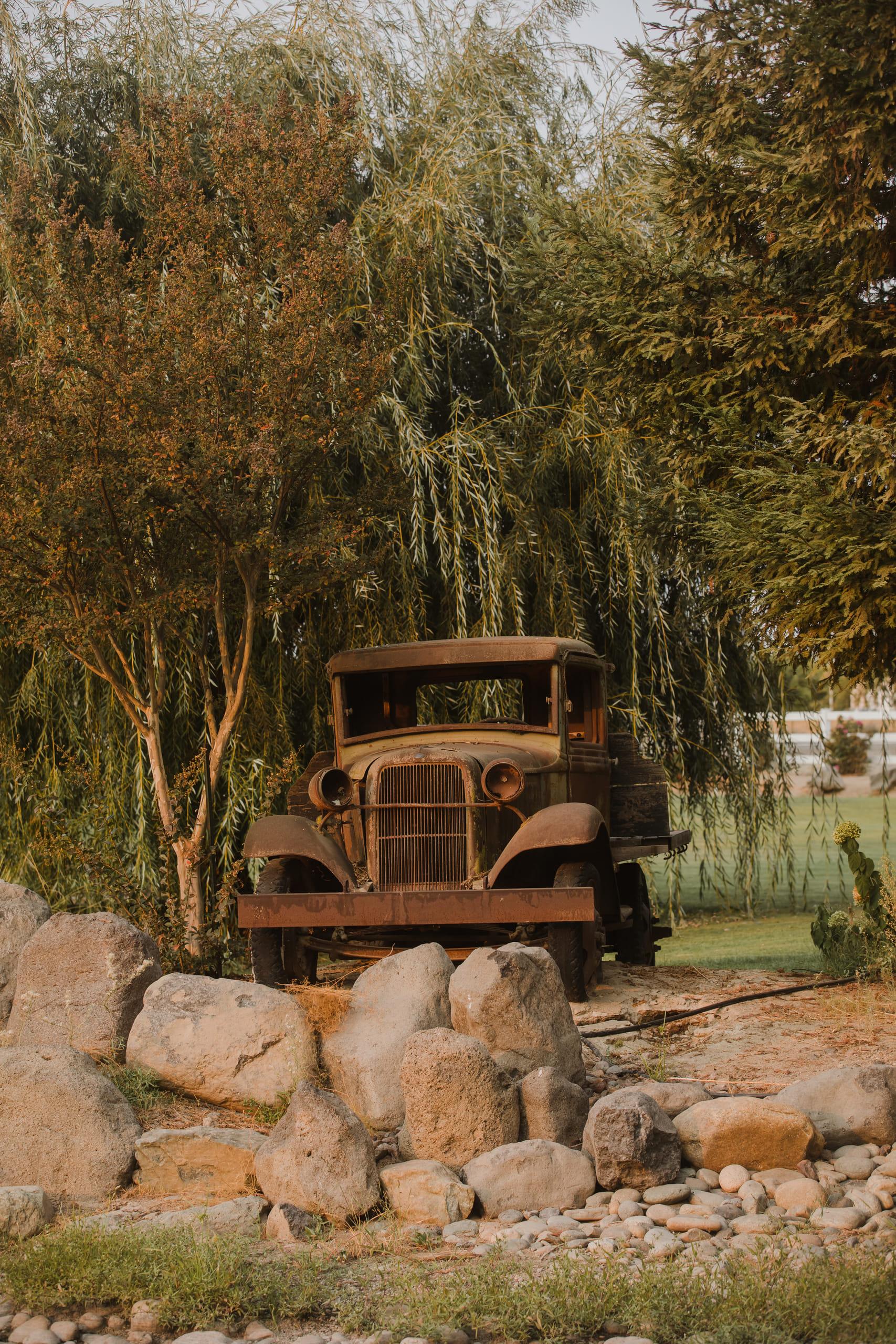 A vintage truck parked among boulders beneath the willows