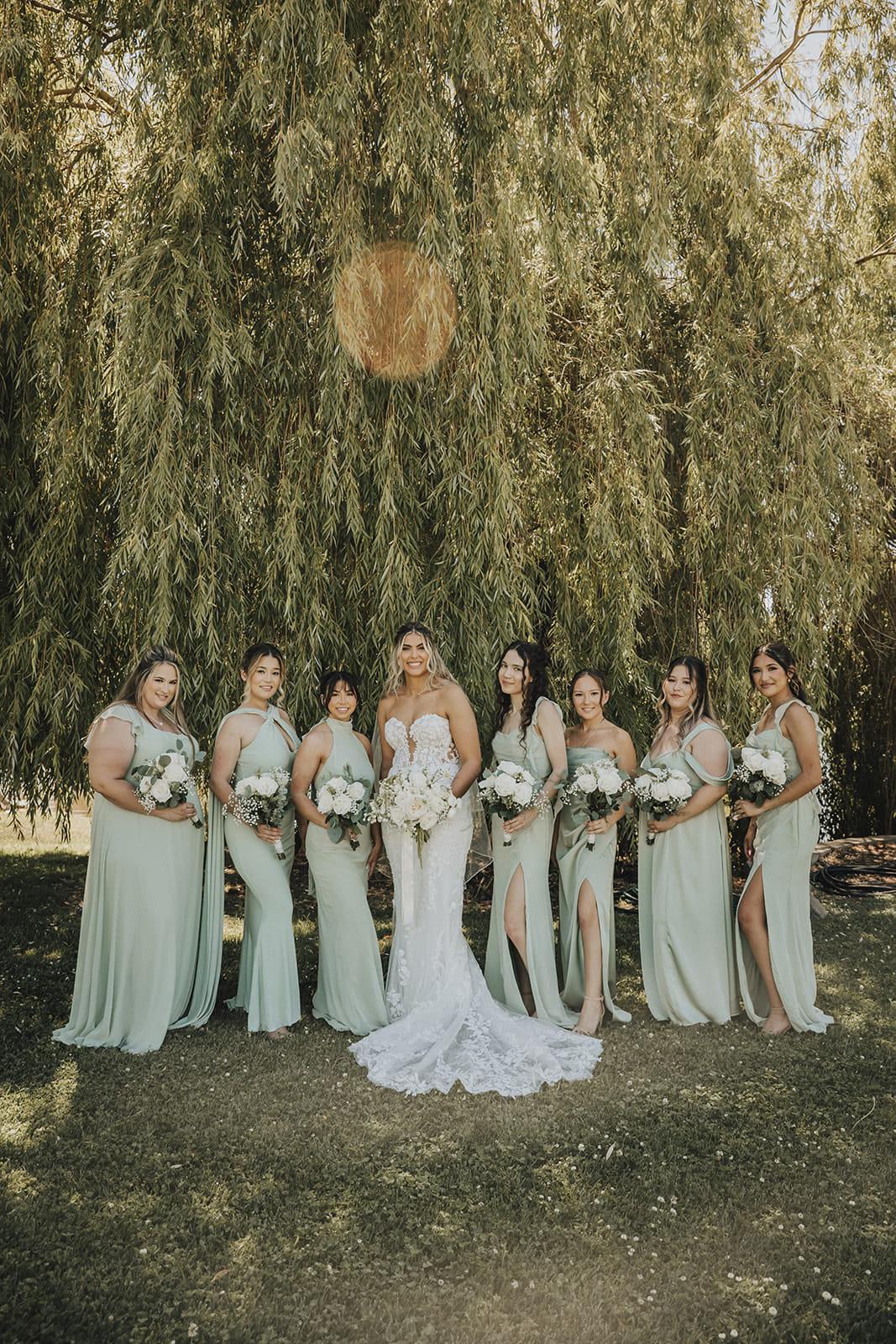The bride and her bridesmaids beneath the willow