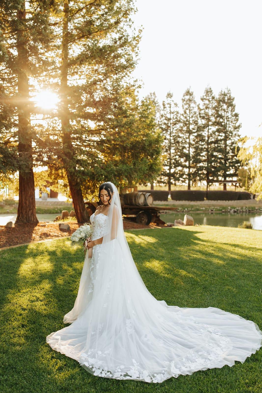 The bride on the lawn as the sun drops behind the pines