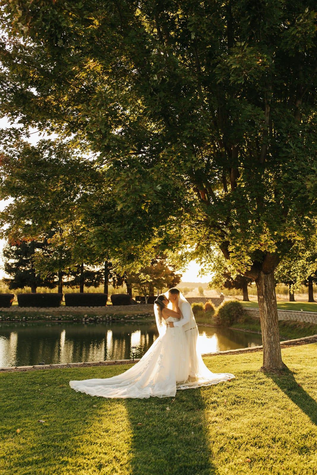 The couple in the shade by the pond, the tree line mirrored in the water