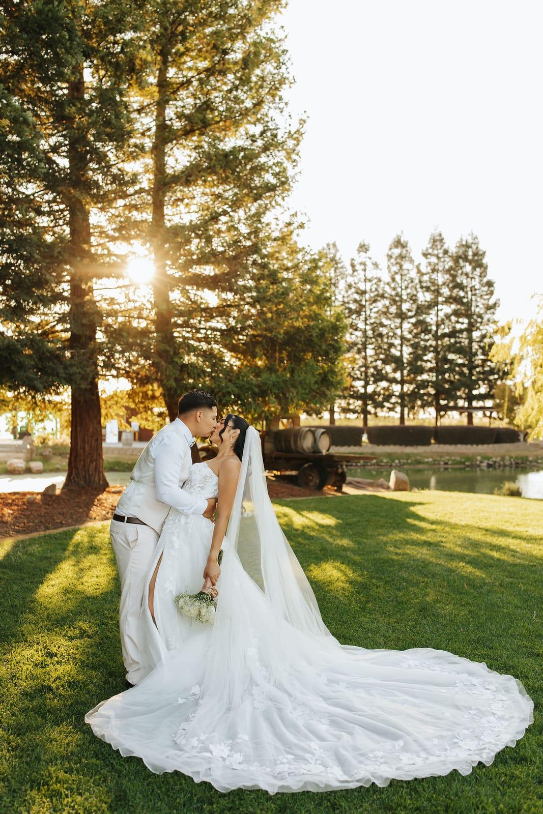 A kiss under the pines at golden hour