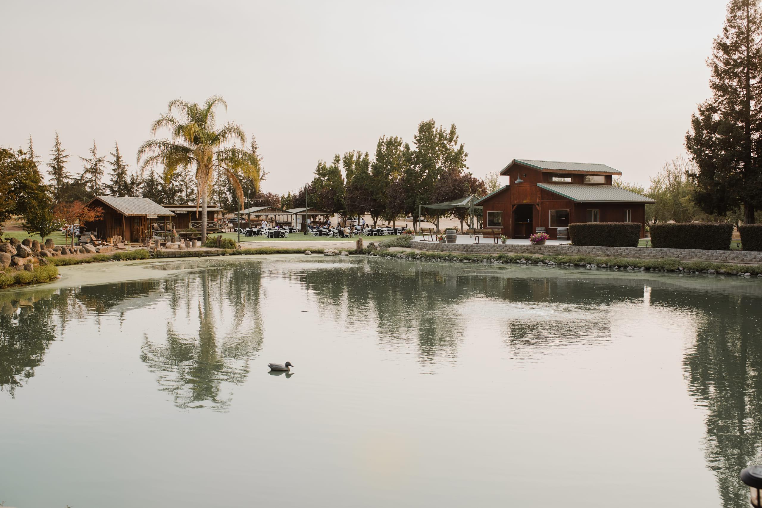A duck crossing the still pond, with the barn and cabana beyond